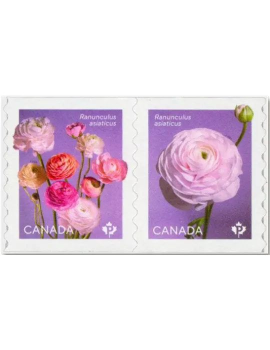 n° 3872/3873 - Timbre CANADA Poste