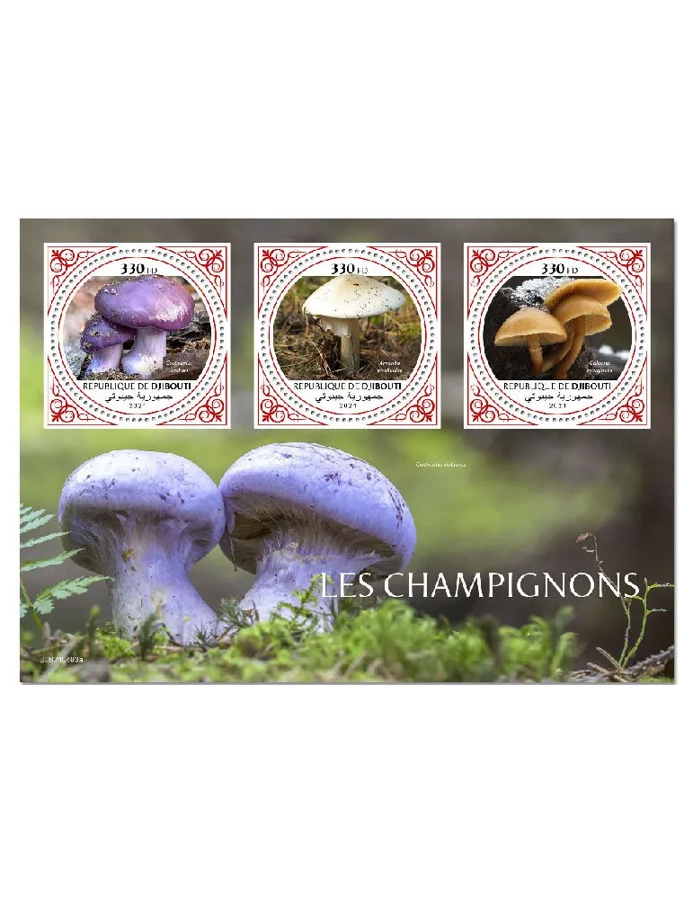 n° 3610/3612 - Timbre DJIBOUTI Poste