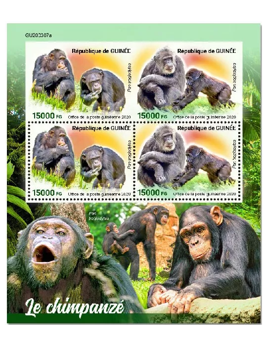 n° 10750/10751 - Timbre GUINEE Poste