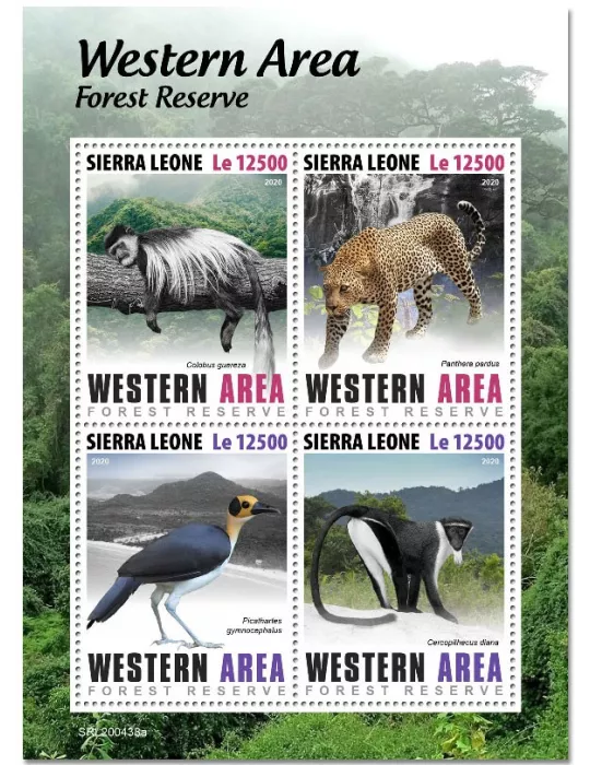 n° 10089/10092 - Timbre SIERRA LEONE Poste