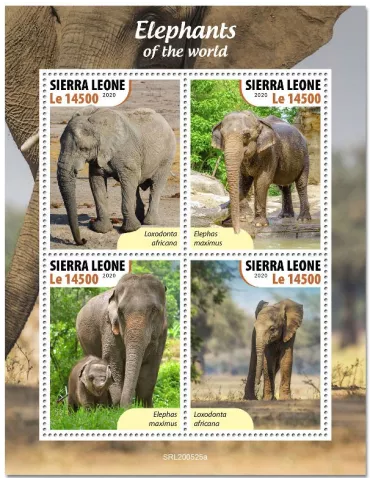 n° 10279/10282 - Timbre SIERRA LEONE Poste