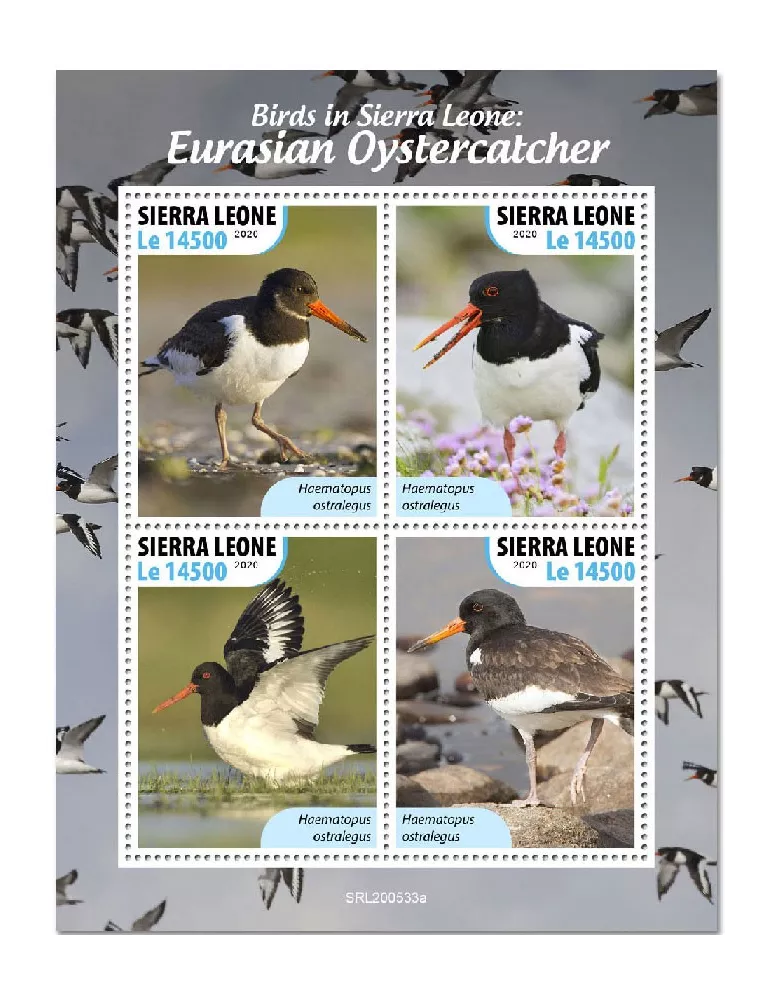 n° 10311/10314 - Timbre SIERRA LEONE Poste