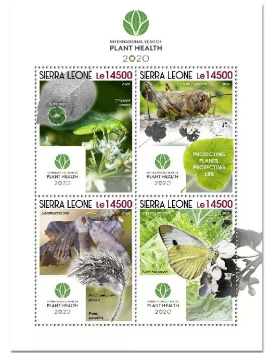 n° 10399/10402 - Timbre SIERRA LEONE Poste