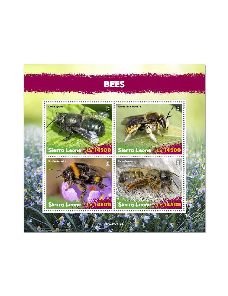 n° 10443/10446 - Timbre SIERRA LEONE Poste