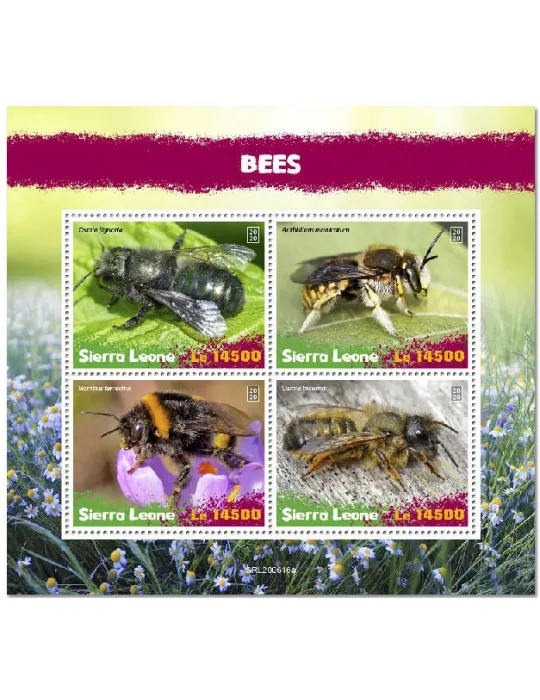 n° 10443/10446 - Timbre SIERRA LEONE Poste