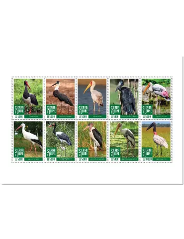 n° 9953/9962 - Timbre SIERRA LEONE Poste