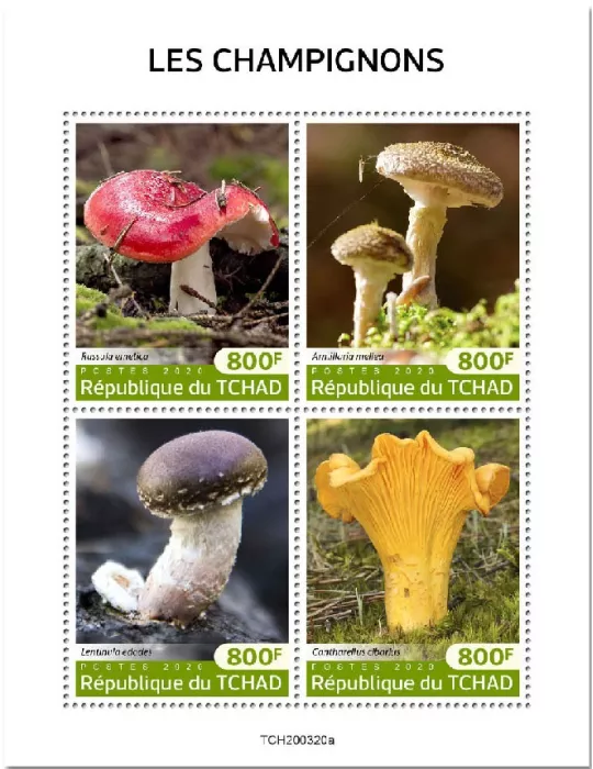 n° 2583/2586 - Timbre TCHAD Poste