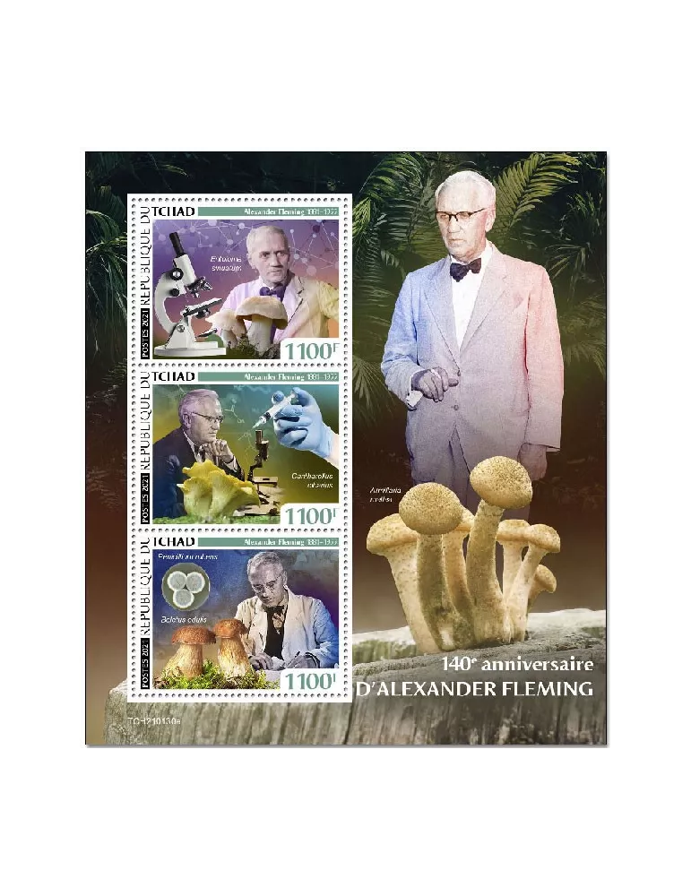 n° 3253/3255 - Timbre TCHAD Poste