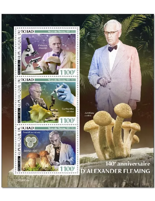 n° 3253/3255 - Timbre TCHAD Poste