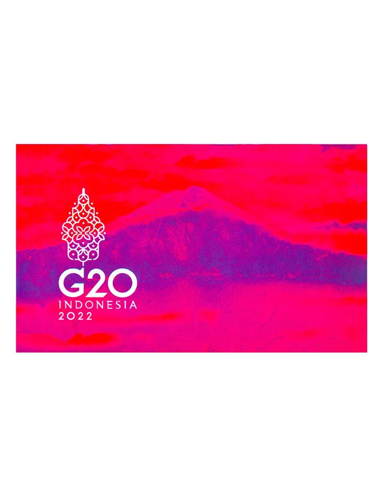 n° 9 - Timbre INDONESIE VIII - Carnets et ouvrages de luxe