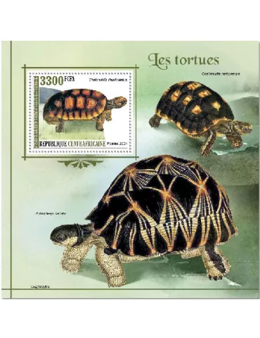 n° 1785 - Timbre CENTRAFRIQUE Blocs et feuillets