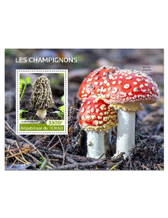 n° 334 - Timbre TCHAD Blocs et feuillets