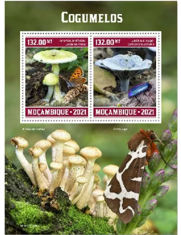 n° 9242/9243 - Timbre MOZAMBIQUE Poste