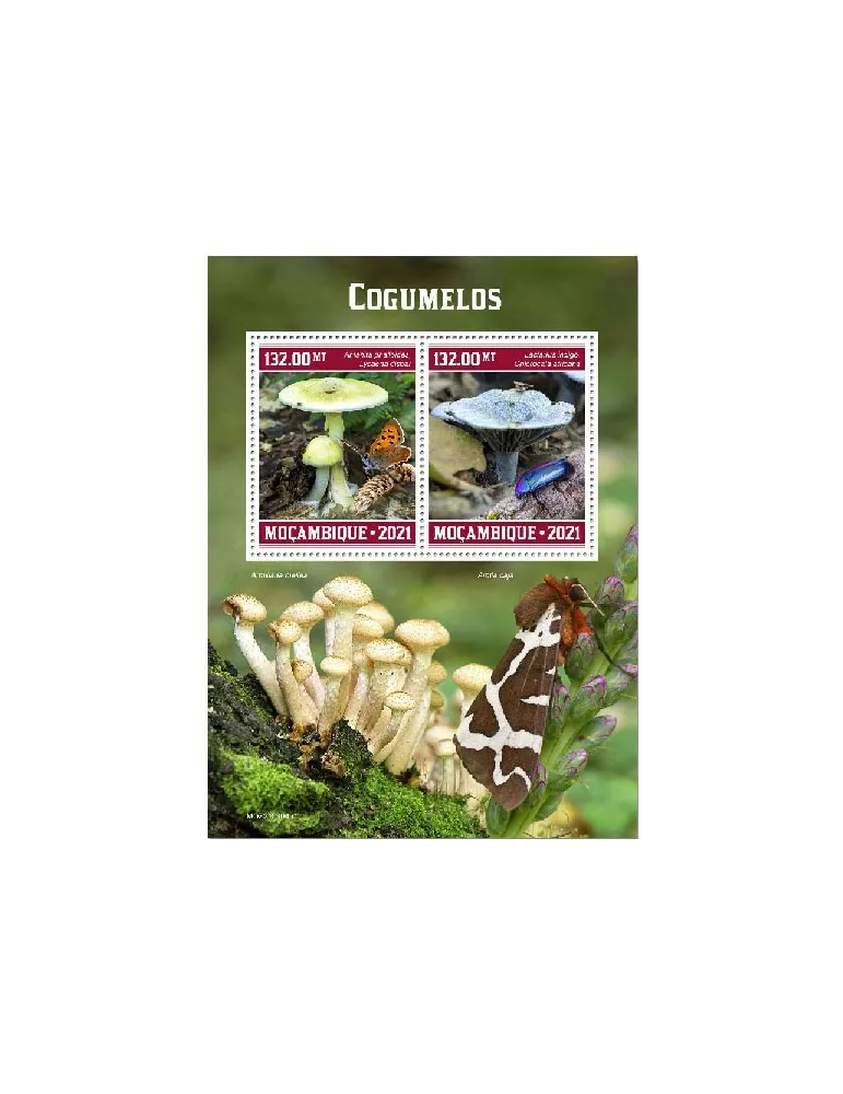 n° 9242/9243 - Timbre MOZAMBIQUE Poste