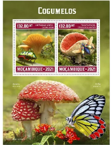 n° 9244/9245 - Timbre MOZAMBIQUE Poste