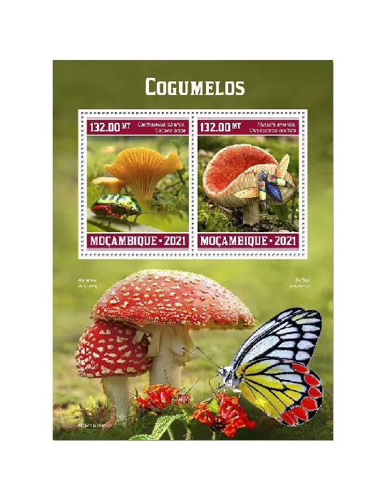 n° 9244/9245 - Timbre MOZAMBIQUE Poste