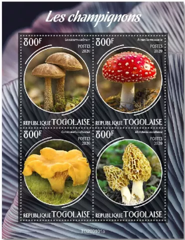 n° 7903/7906 - Timbre TOGO Poste