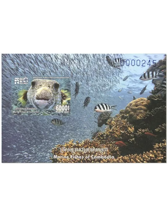 n°257 et n° 258 - Timbre CAMBODGE Blocs et feuillets