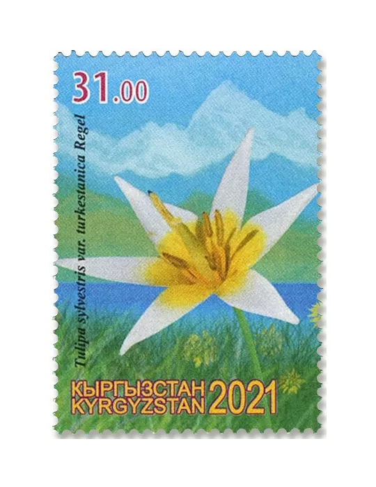 n°860/862 - Timbre KIRGHIZISTAN (Poste Kirghize) Poste