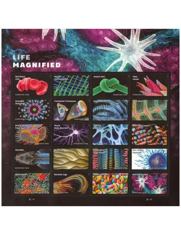 n° 5682/5701 - Timbre ETATS-UNIS D´AMERIQUE Poste