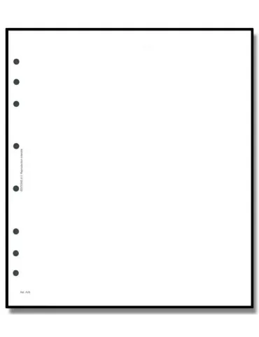 Feuille AV : blanche sans cadre (x10) - AV EDITIONS® 2