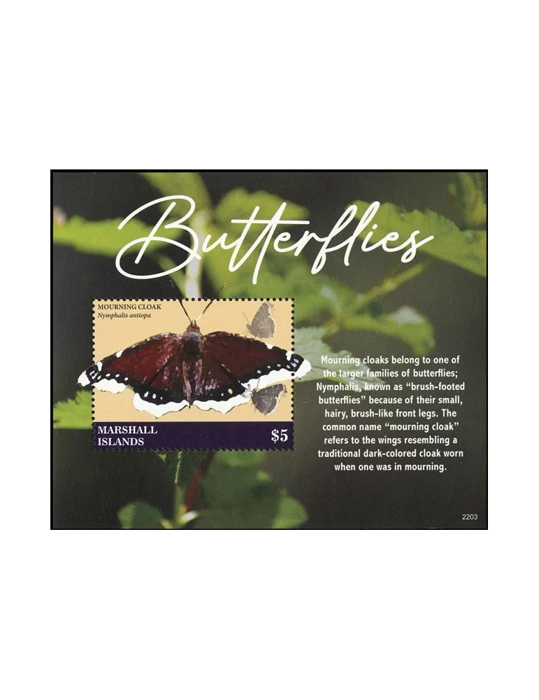 n° 158 - Timbre MARSHALL Blocs et feuillets