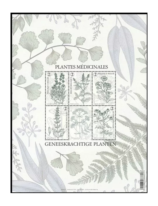 n° F5075 - Timbre BELGIQUE Poste