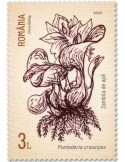 n° 6880/6883 - Timbre ROUMANIE Poste