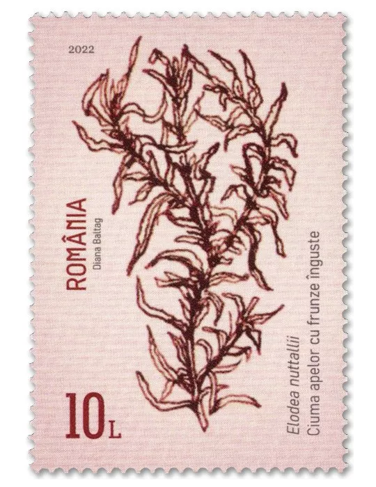 n° 6880/6883 - Timbre ROUMANIE Poste