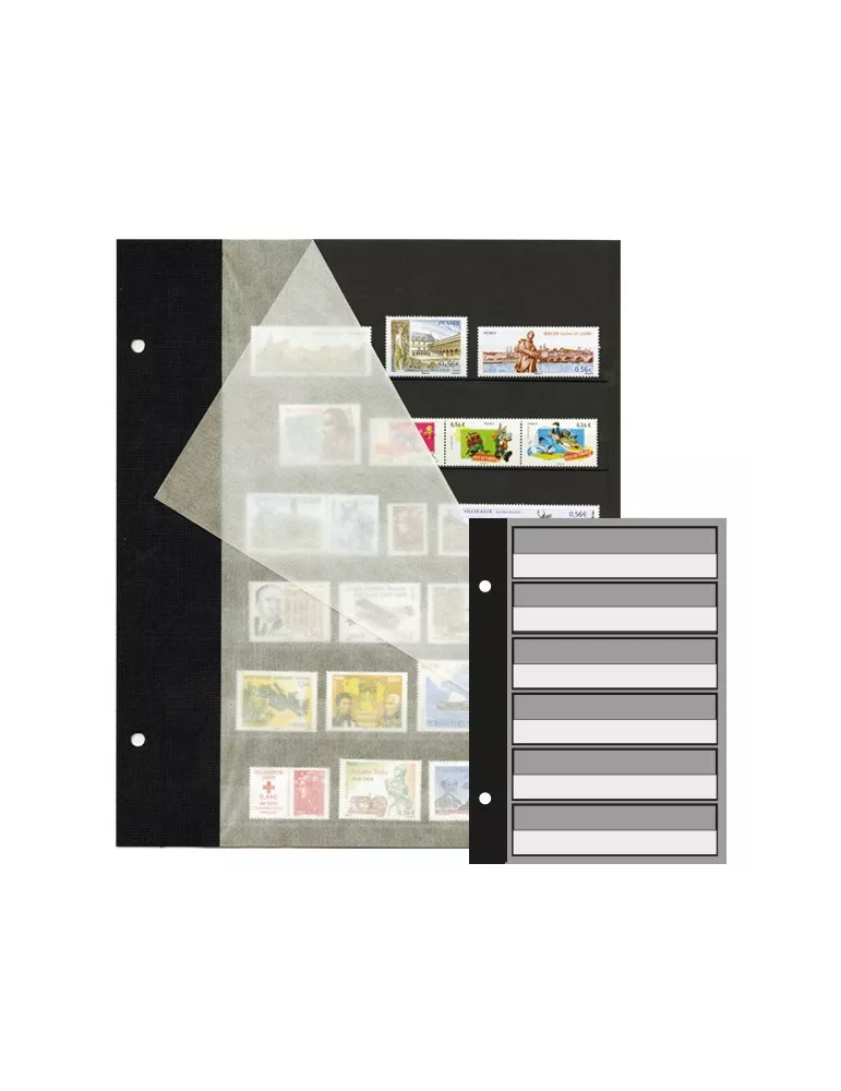 Recharges FUTURA : C50 (x5)