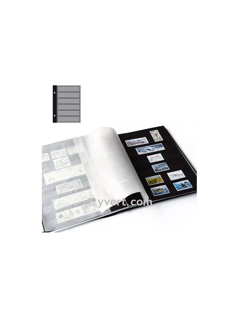 Recharges FUTURA : C50 (x5)