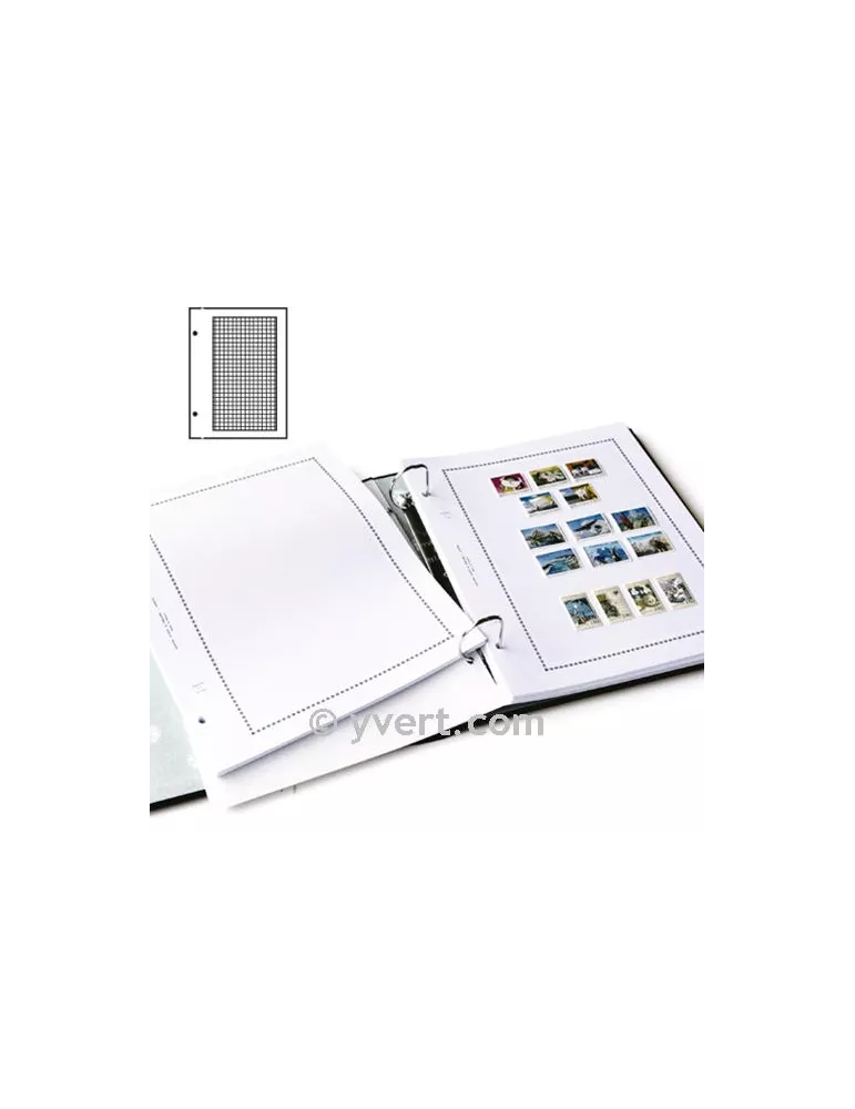 Feuilles à personnaliser FS : pages quadrillées (x50)