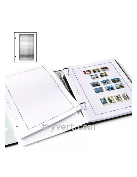 Feuilles à personnaliser FS : pages quadrillées (x50)