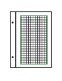 Feuilles à personnaliser FO : pages quadrillées (x50)