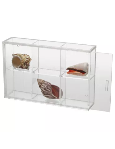 VITRINE EN PLEXI PETIT FORMAT : 6 CASES - SAFE®