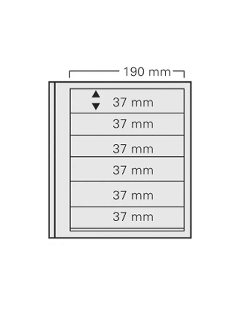 FEUILLES SPECIAL DUAL 616 : 6 BANDES (FOND TRANSPARENT - PAR 5) - SAFE®