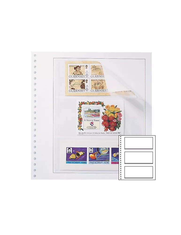 Recharges Simples Régent-Supra : 3 poches