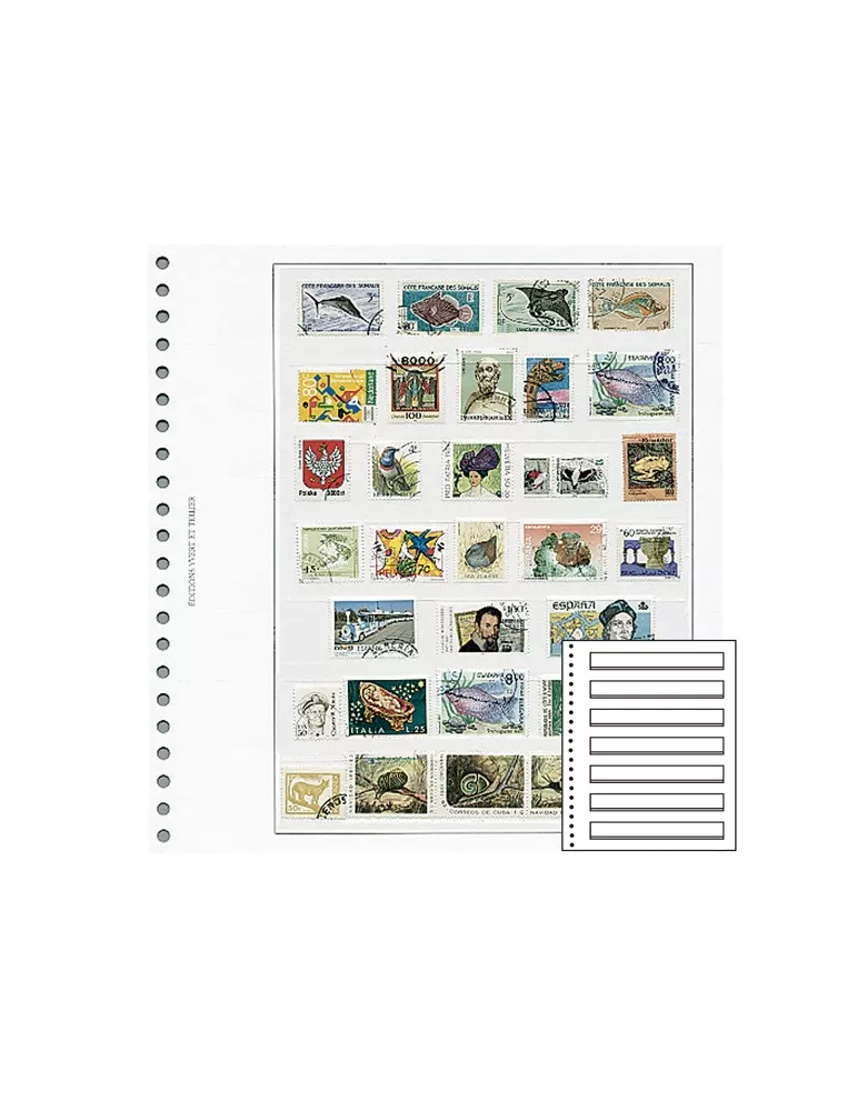 Recharges Simples Régent-Supra : 7 bandes