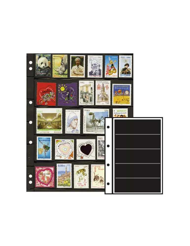 Recharges INITIA : 5 bandes