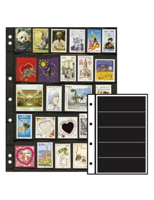 Recharges INITIA : 5 bandes