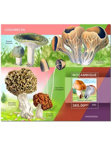n° 1730 - Timbre MOZAMBIQUE Blocs et feuillets