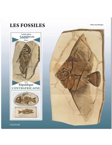 n° 1961 - Timbre CENTRAFRIQUE Blocs et feuillets