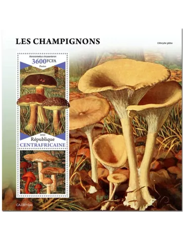 n° 1962 - Timbre CENTRAFRIQUE Blocs et feuillets
