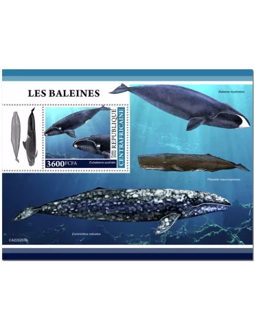 n° 2007 - Timbre CENTRAFRIQUE Blocs et feuillets