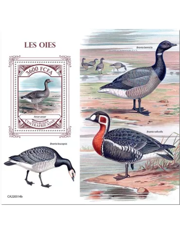 n° 2053 - Timbre CENTRAFRIQUE Blocs et feuillets