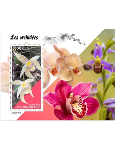 n° 2078 - Timbre CENTRAFRIQUE Blocs et feuillets