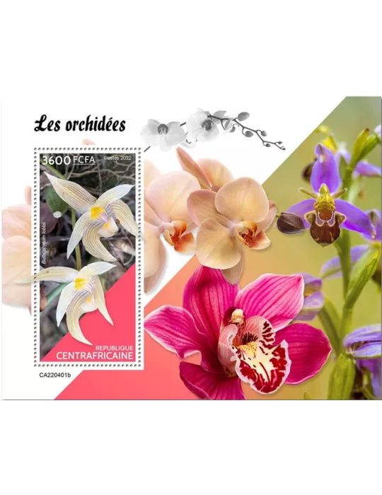 n° 2078 - Timbre CENTRAFRIQUE Blocs et feuillets