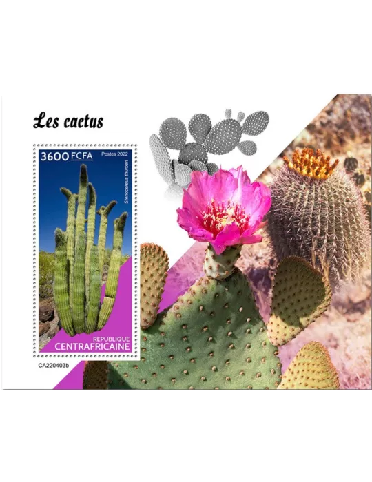 n° 2080 - Timbre CENTRAFRIQUE Blocs et feuillets