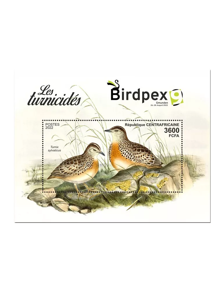 n° 2087 - Timbre CENTRAFRIQUE Blocs et feuillets