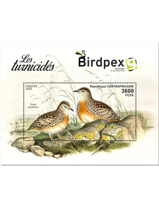 n° 2087 - Timbre CENTRAFRIQUE Blocs et feuillets